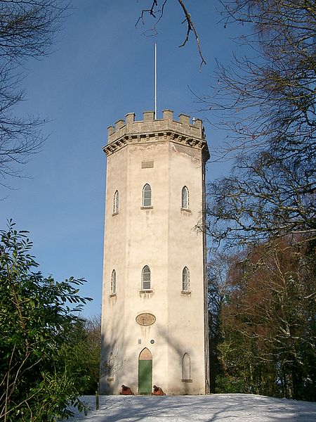 Nelson's Tower