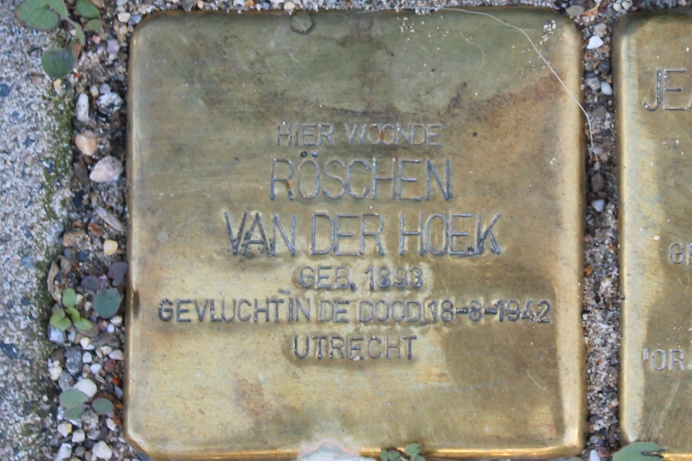 Stolpersteine Koekoekstraat 29 #2