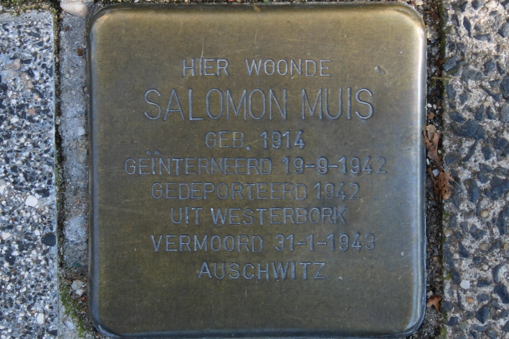 Stolpersteine Plantage Middenlaan 25 #4