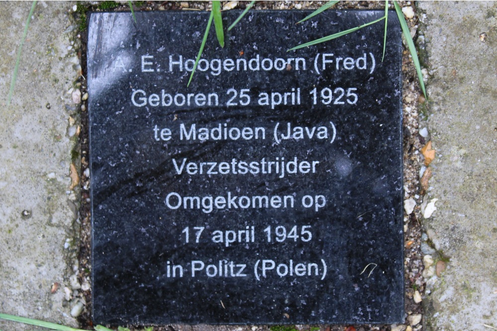 Memorial Stones Professor Lorentzlaan 167 #3