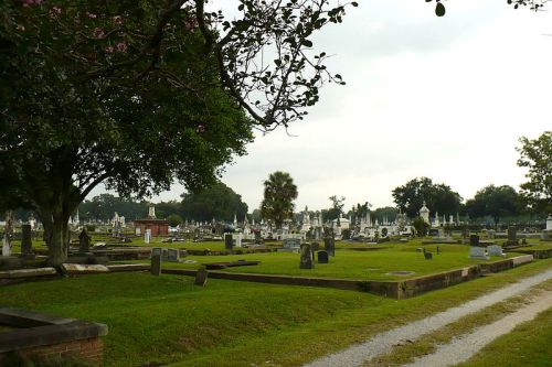 Oorlogsgraf van het Gemenebest Little Magnolia Cemetery