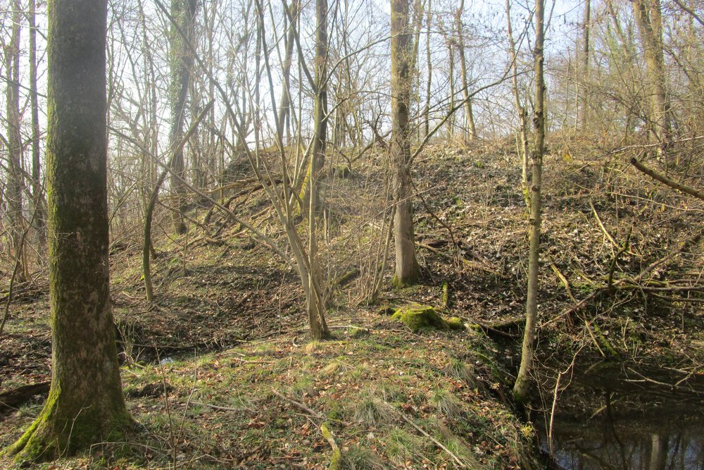 Westwall - Bunker Restanten Augustiner Wald