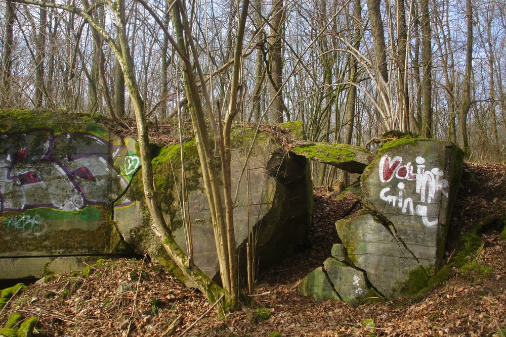 Westwall - Bunker Restanten Augustiner Wald
