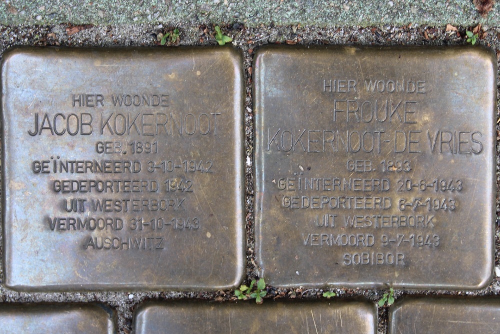 Stolpersteine Vrolikstraat 305 #2