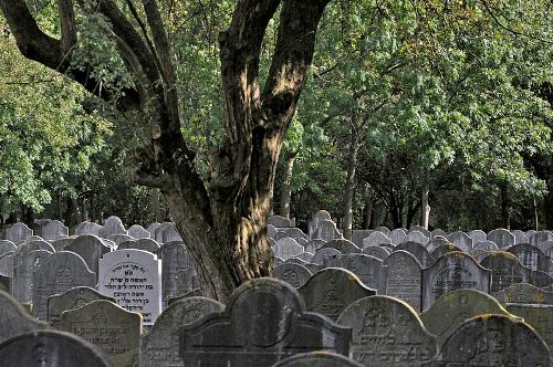 Jewish Cemetery Diemen