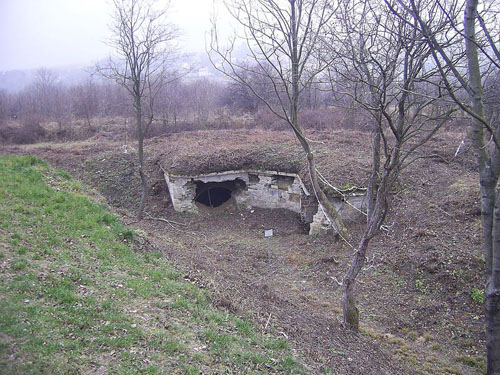 Festung Przemysl - Fort XVI 
