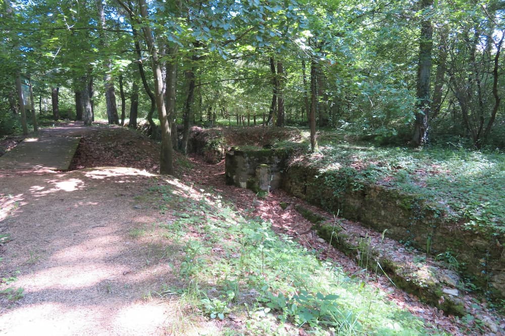 Trenches Des Oiseaux Saint-Baussant #5