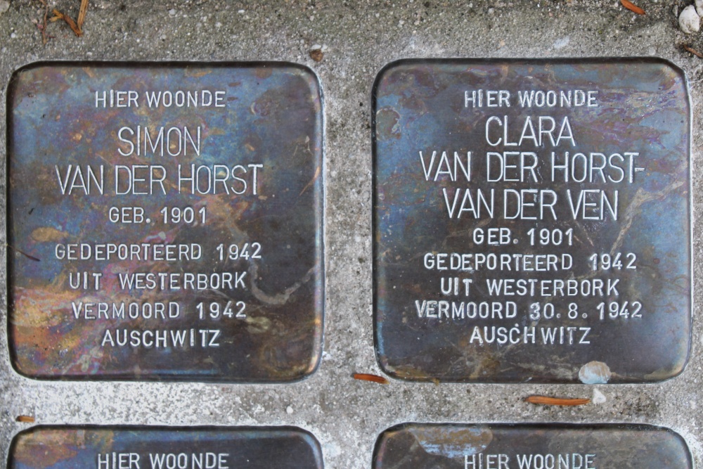 Stolpersteine Professor Spronckpark 4 #2