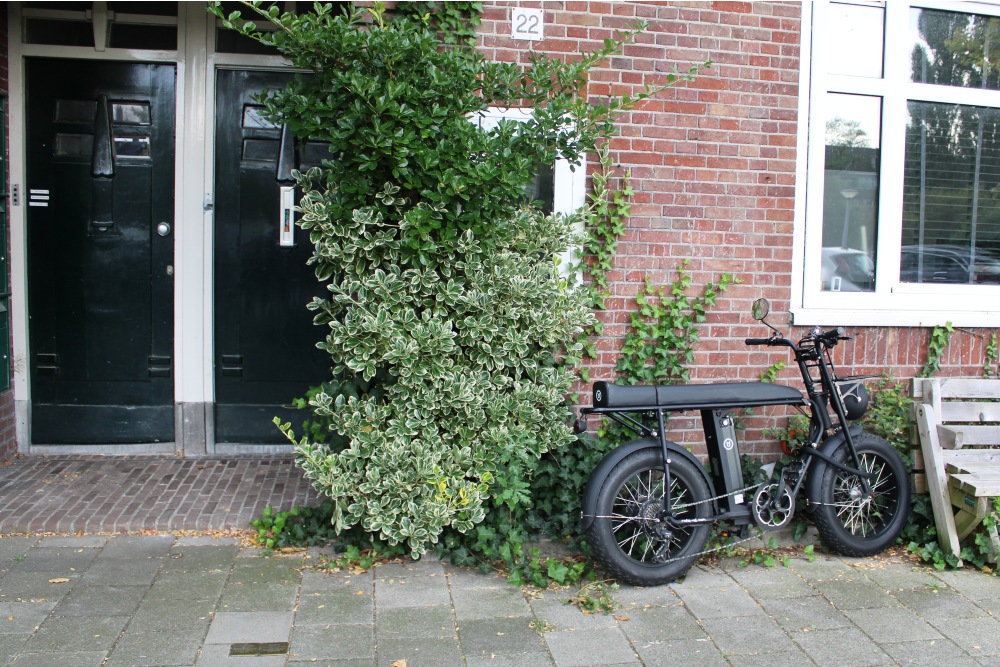 Stolpersteine Oude IJsselstraat 22 #4