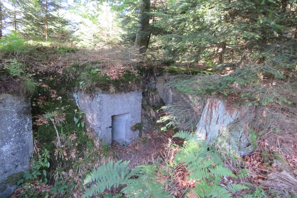 Artillery Bunkers Col du Donon - Grandfontaine - TracesOfWar.com