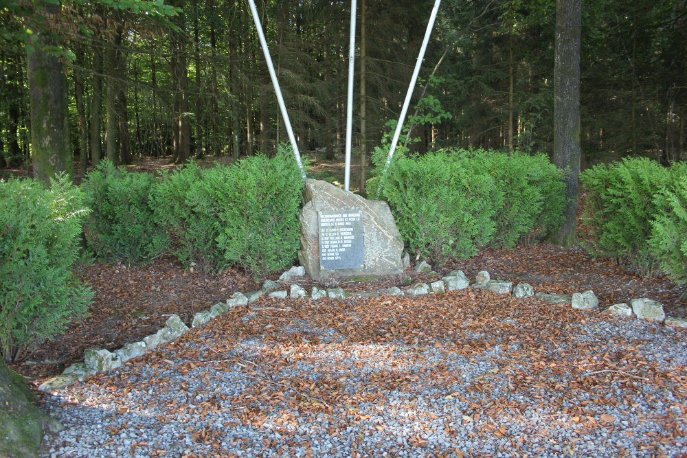 Monument Amerikaanse Vliegeniers Harz