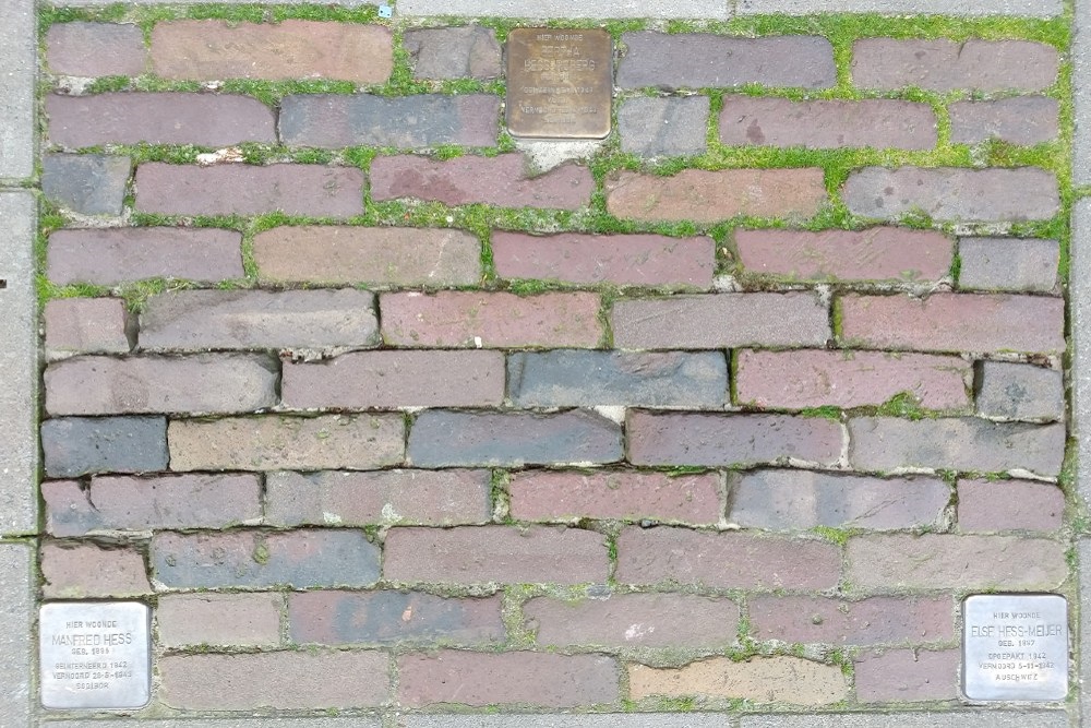 Stolpersteine Drienerstraat 75 #2