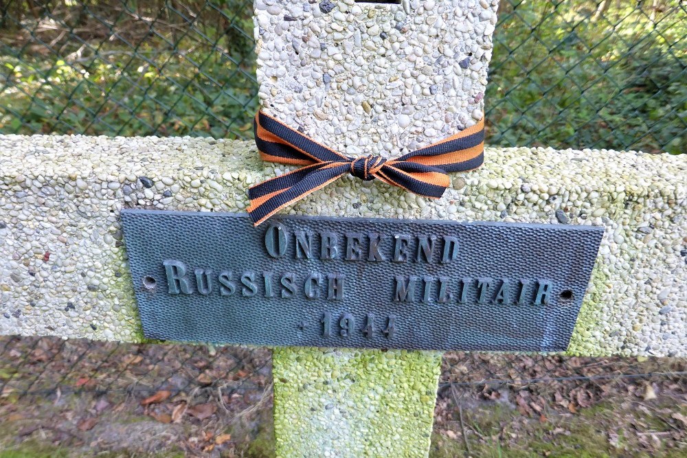 Belgische Oorlogsbegraafplaats Leopoldsburg #5