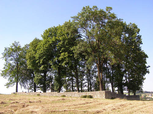Austrian-Russian War Cemetery No.167