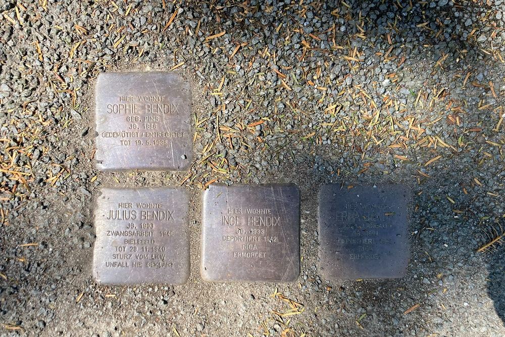 Stolpersteine An Der Kolvenburg