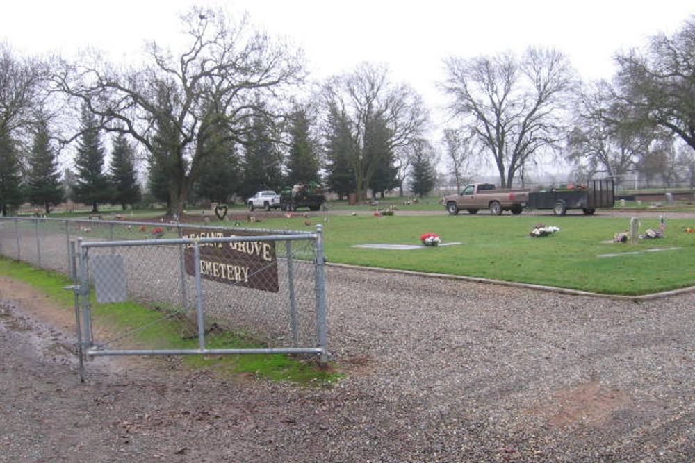 Amerikaanse Oorlogsgraven Pleasant Grove Cemetery
