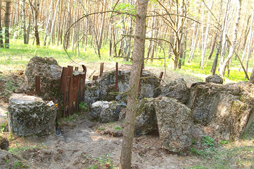 Stalin Line - Remains Bunker No. 560
