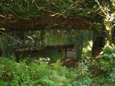Bunker Nr. 131 op Der Buhlert