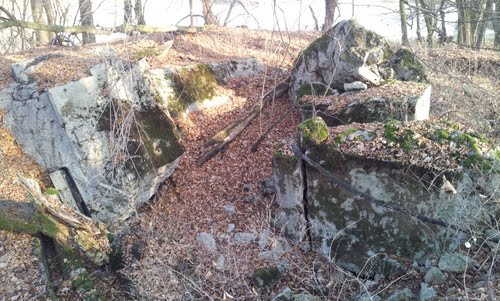 Oderstellung - Remains Casemate