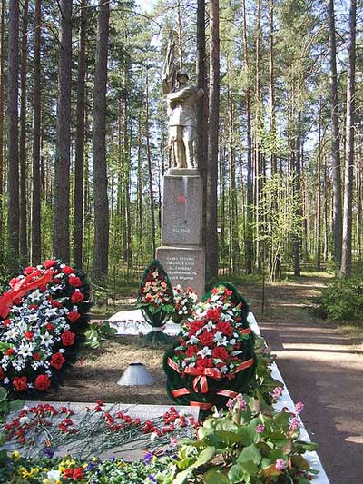 Mass Grave Soviet Soldiers Komarovo