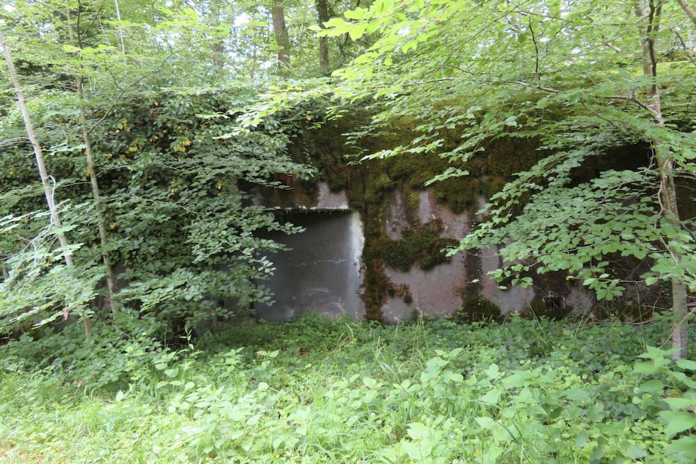 Maginot Line Eichwald Ammunition Storage