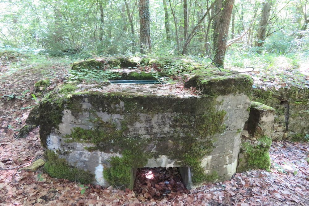 Loopgraven Des Oiseaux Saint-Baussant #3