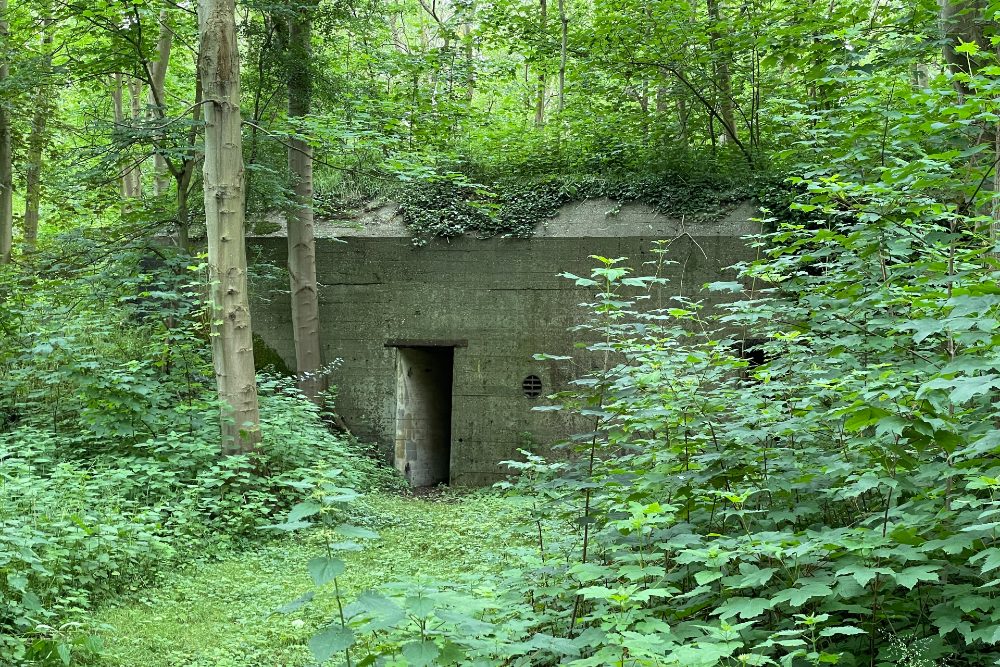 Bunkers Castle Forrest Haamstede #2