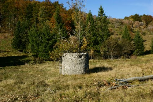 Alpine Wall - Pillbox Trstenik (C)