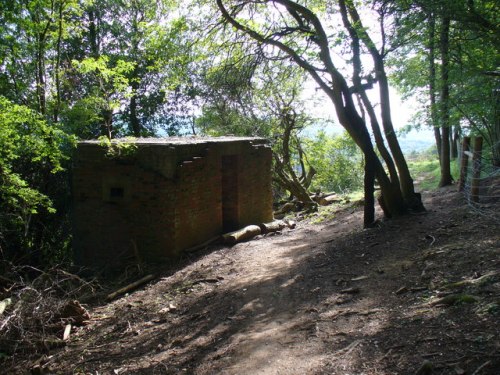 Bunker FW3/24 Wotton