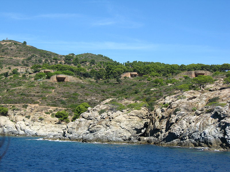 Artillery Bunker Punta Falconera #2