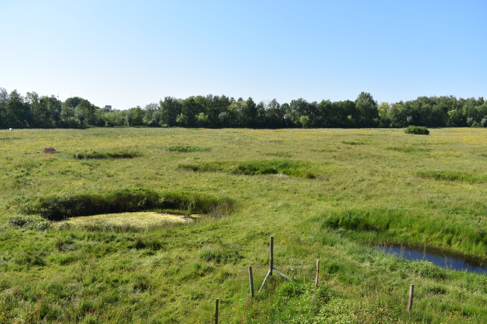 Bomb Craters Tommelen Area Hasselt #5