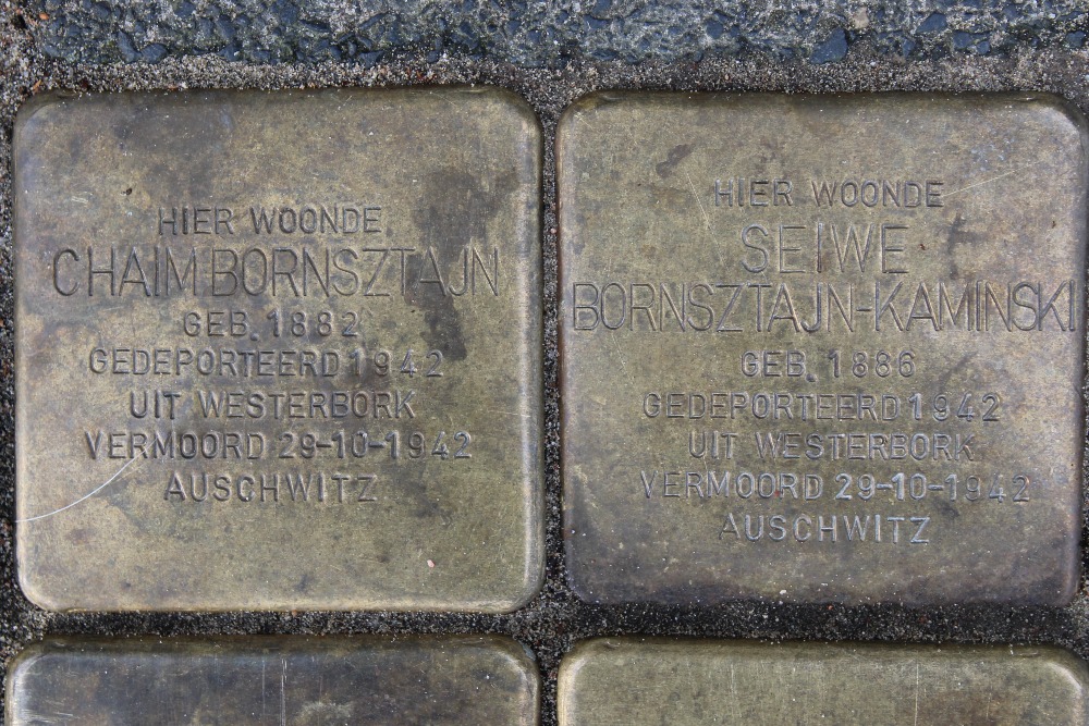 Stolpersteine Van de Wateringelaan 231 #2