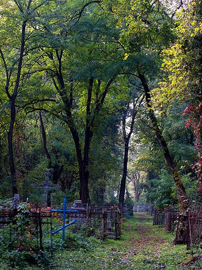 Vsesvyatskoye Cemetery