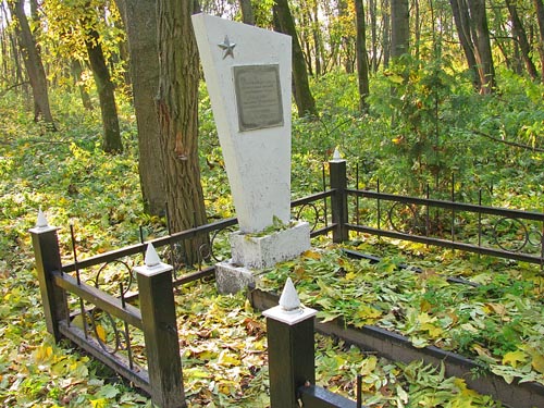 Collective Grave Soviet Soldiers Yagotin