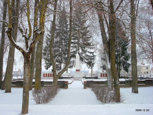 Sovjet Oorlogsbegraafplaats Sirvintos