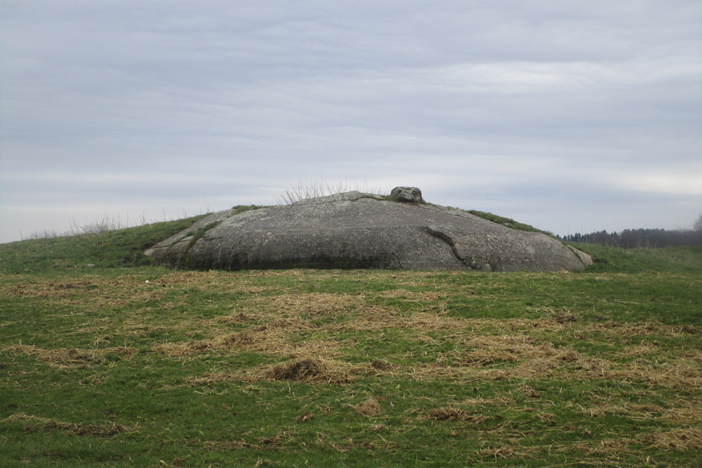 Westwall - Restanten Bunkers
