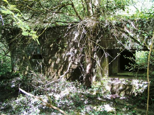Bunker FW3/28 Broadbridge Heath