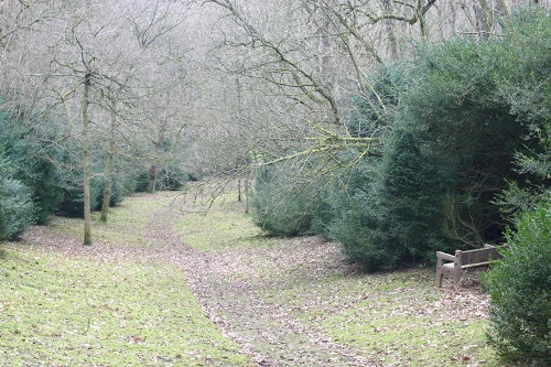 Commonwealth War Grave Clifferdine Wood