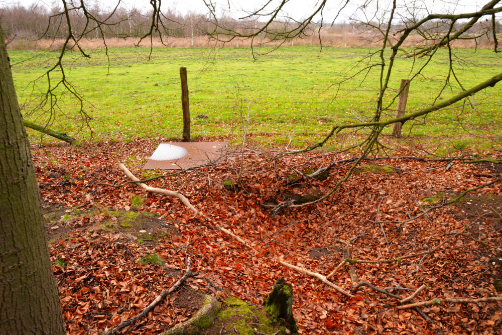 Ringstand 215 Niederkrchten #2