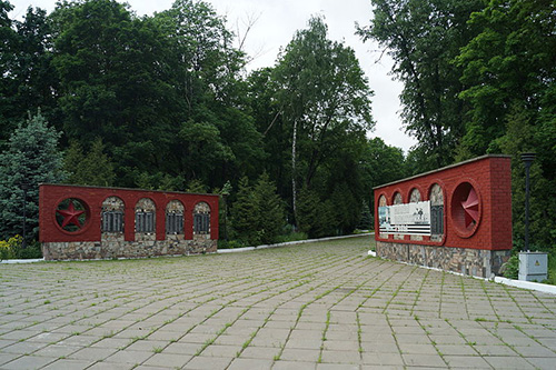 Sovjet Oorlogsgraven Vsehsvyatskoe Begraafplaats