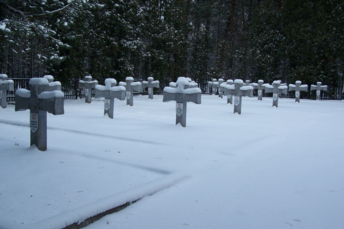 Polish War Cemetery Wiktorow