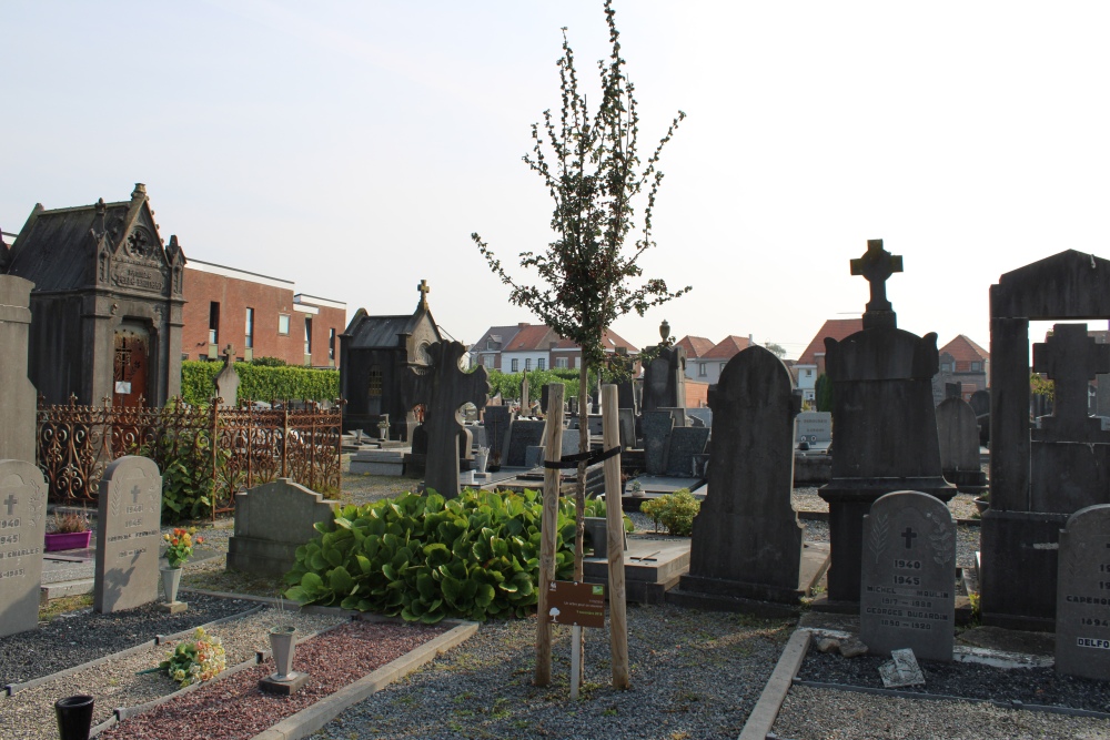 Memorial Tree Cemetery Kain