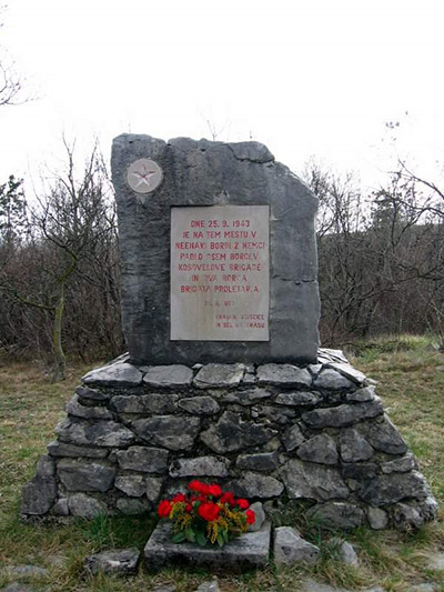 Partisan Memorial Vojscica