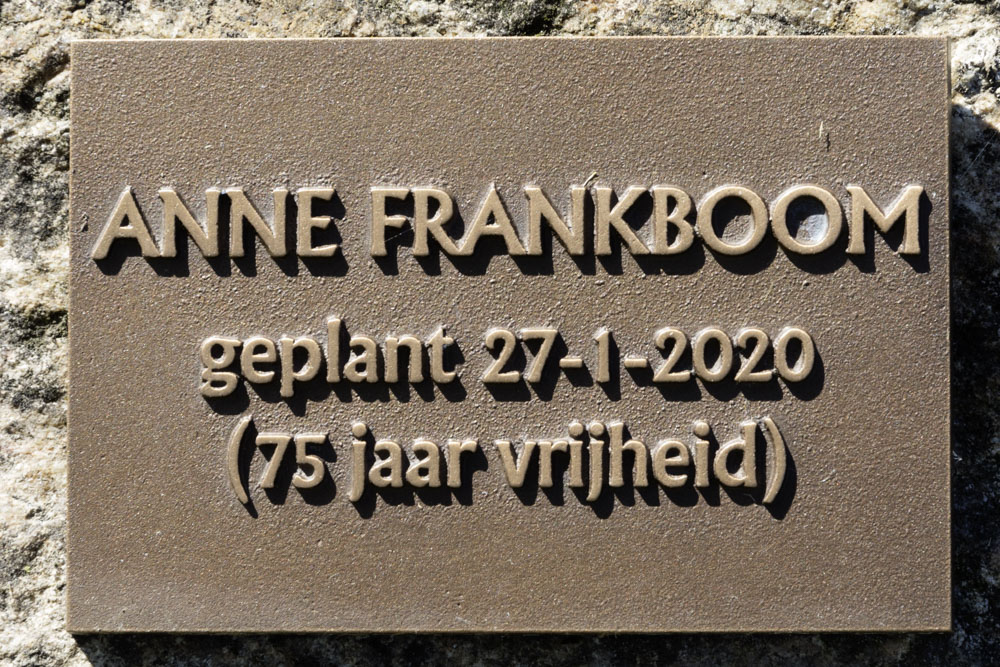 Anne Frankboom Haaksbergen #5