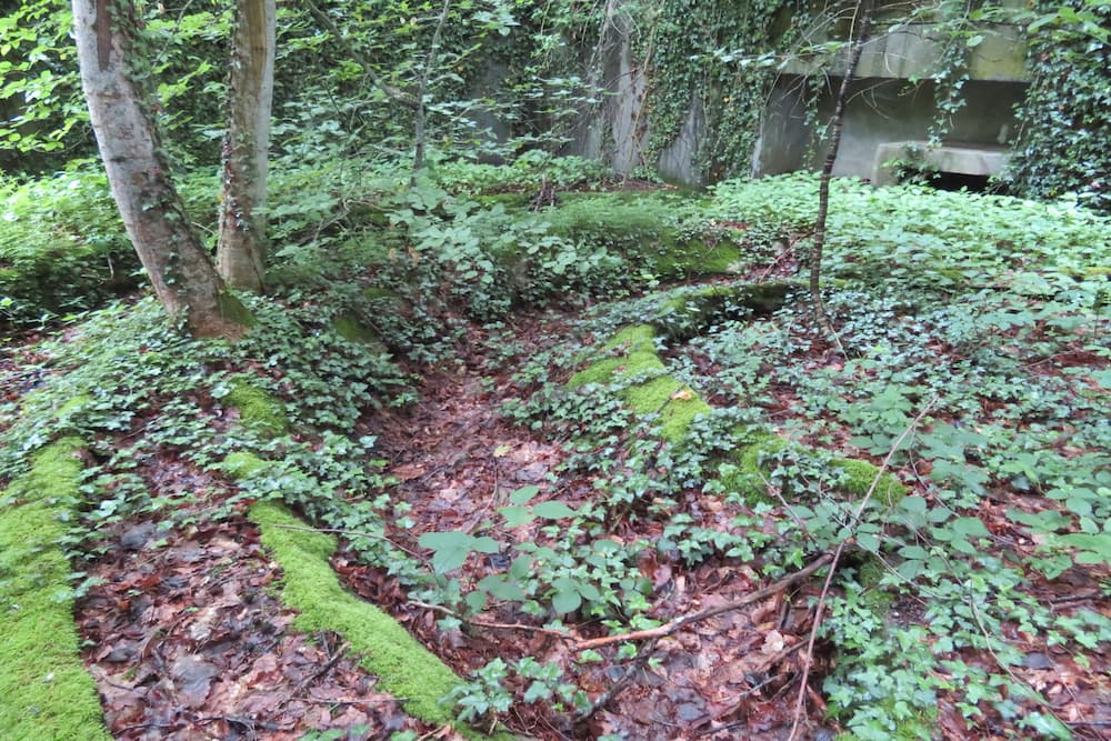 Maginot Line Eichwald Gun Emplacement #3