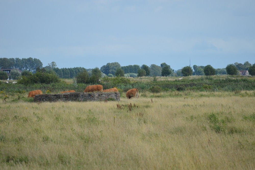 Flak Emplacement Cadzand #2