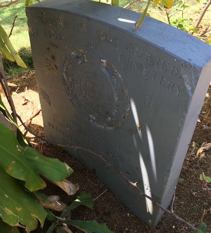 Commonwealth War Grave Montego Bay Cemetery