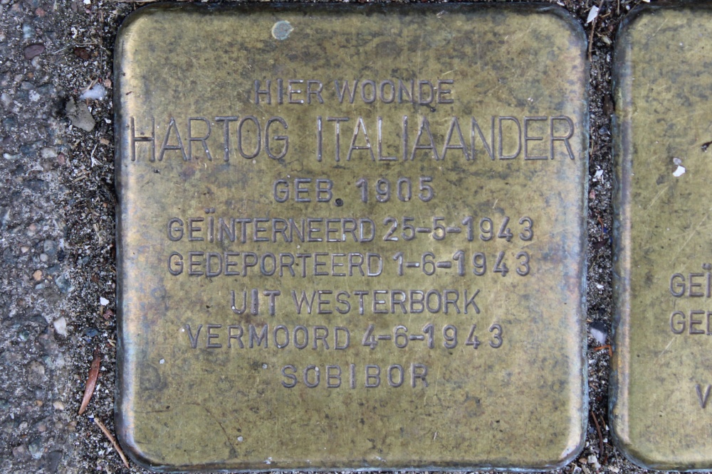 Stolpersteine Ruyschstraat 90 #2