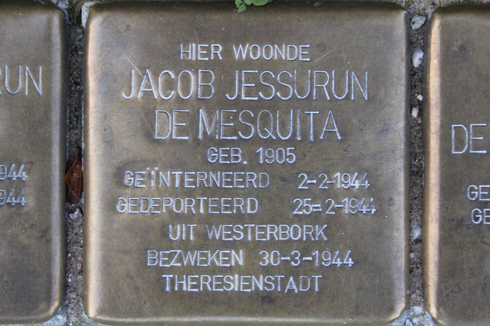 Stolpersteine Linnaeuskade 24 #3