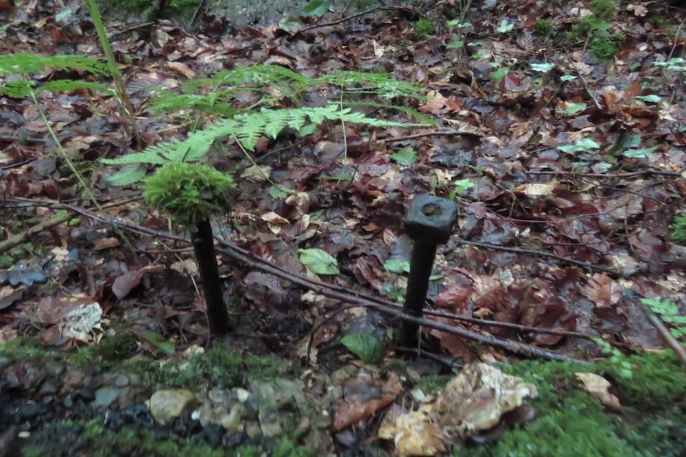 Maginot Line - Eichwald Gun Emplacement N #3